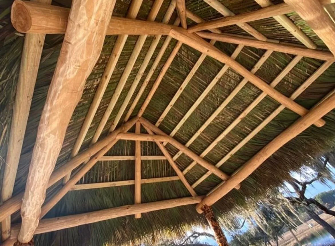 Wooden beams and rafters supporting the underside of a tiki hut roof